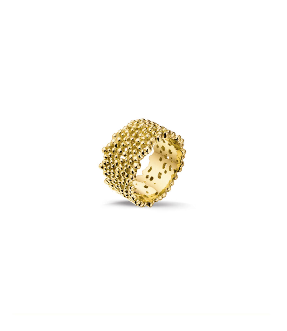 Ring 1896