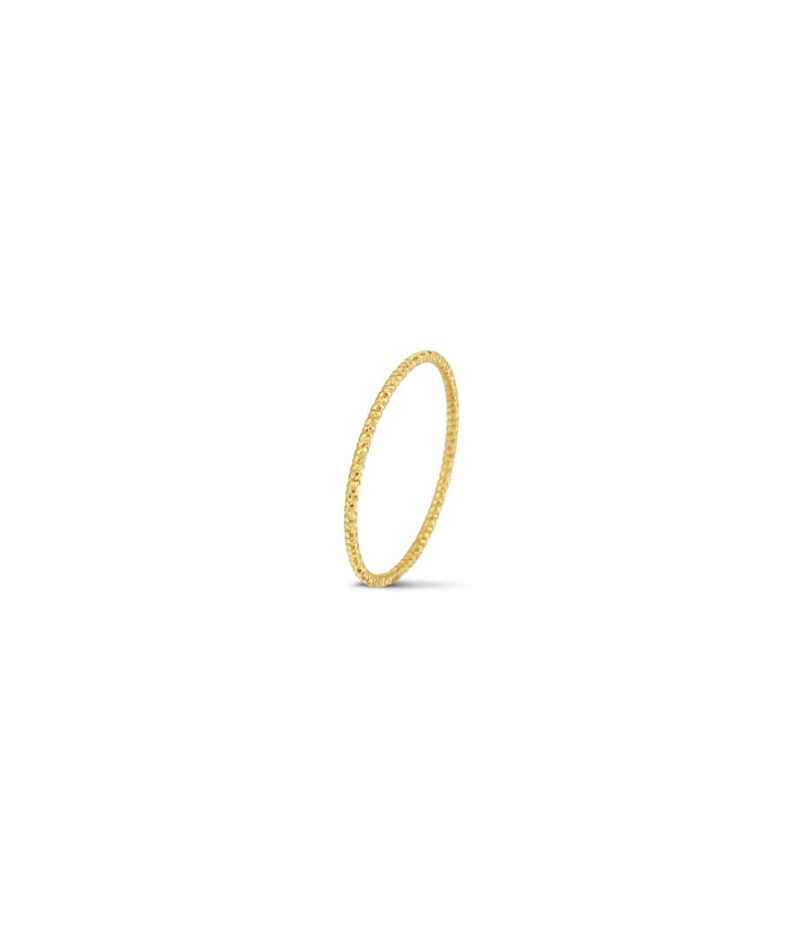 Palazzo Ring 1742