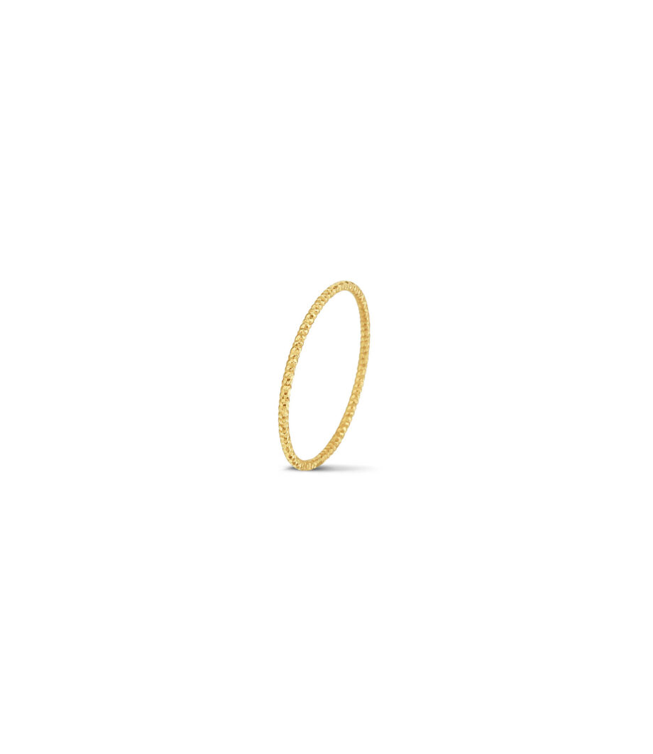 Palazzo Ring 1742
