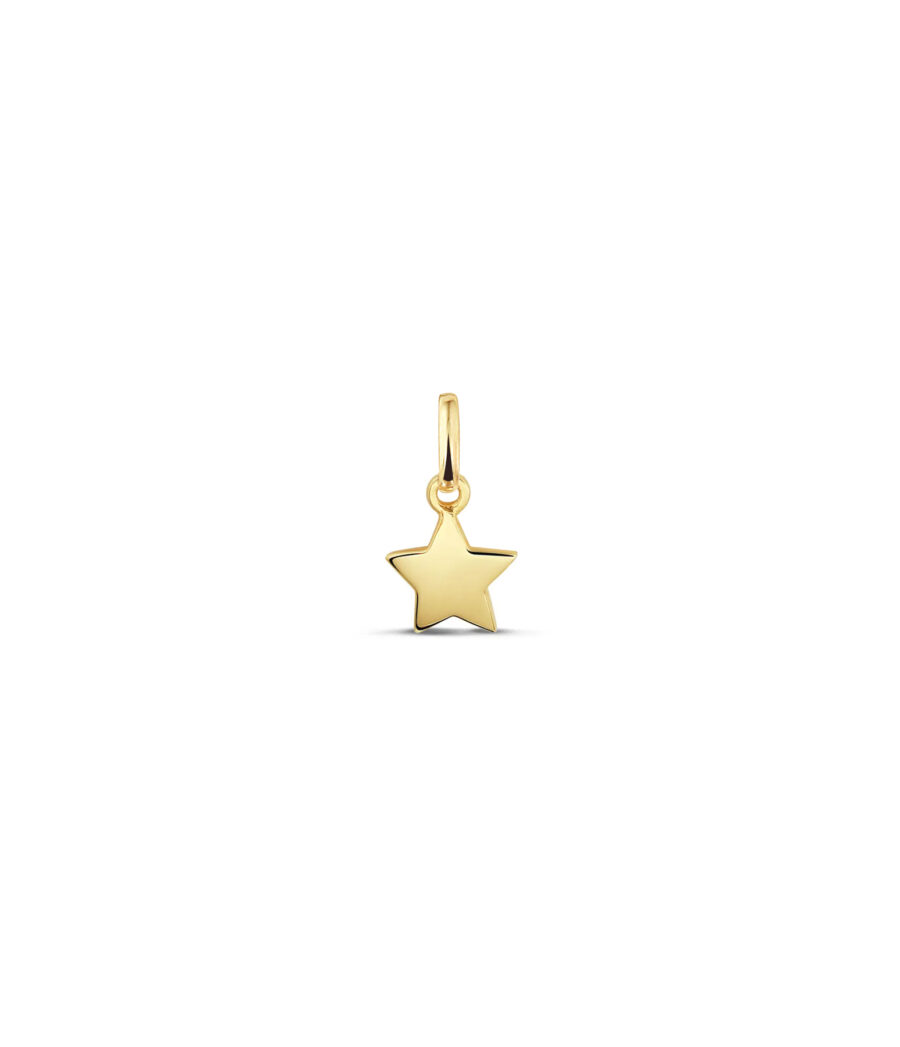 14 Karat Stern Anhänger 1973