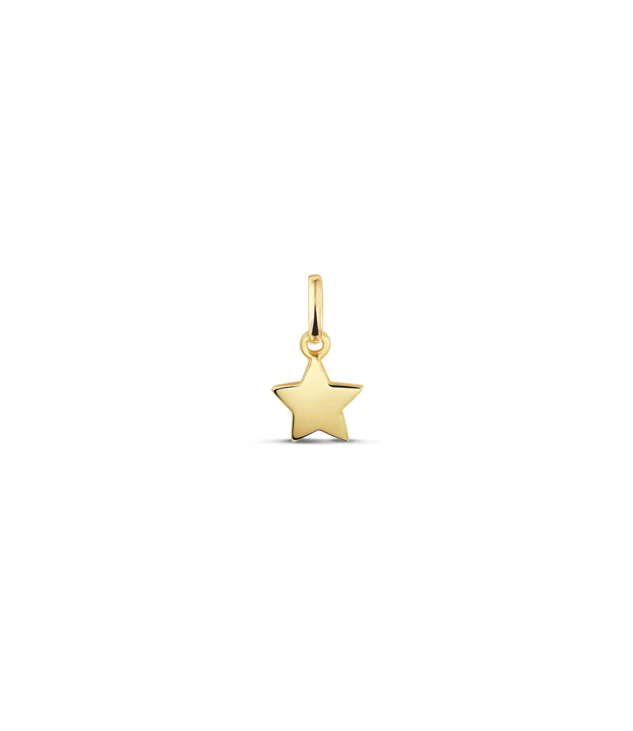 14 Karat Stern Anhänger 1973