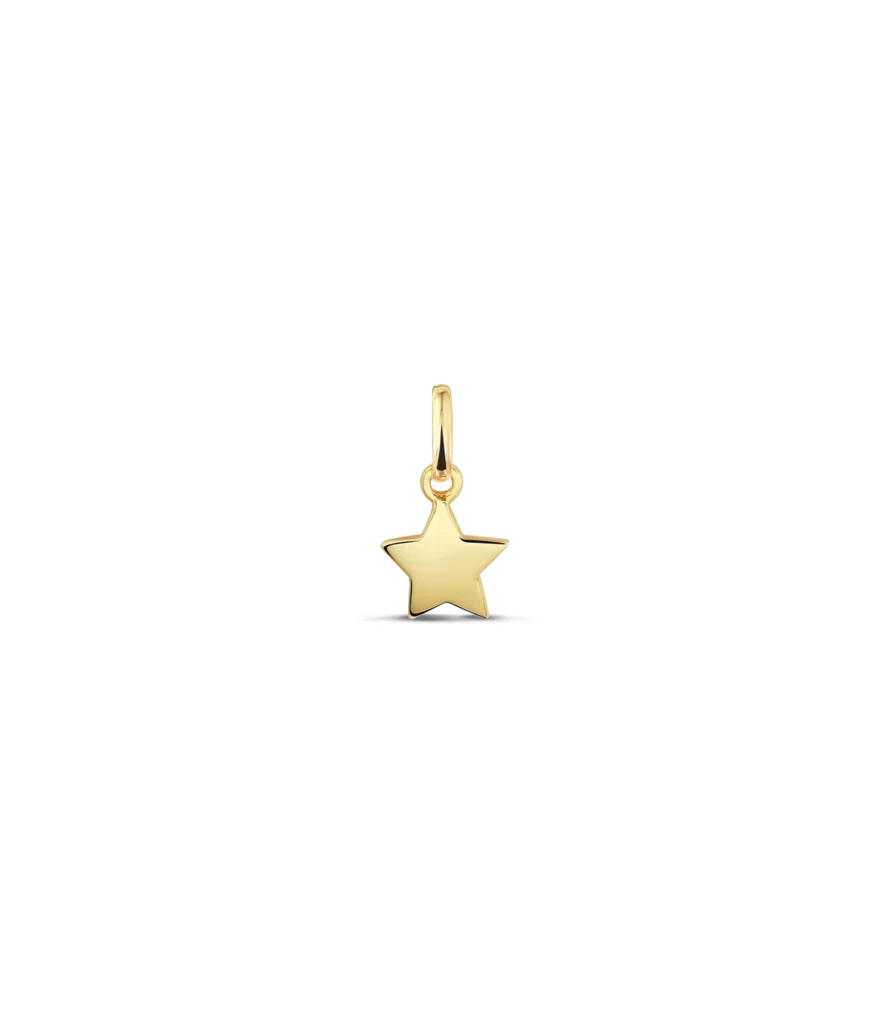 14 Karat Anhänger Stern