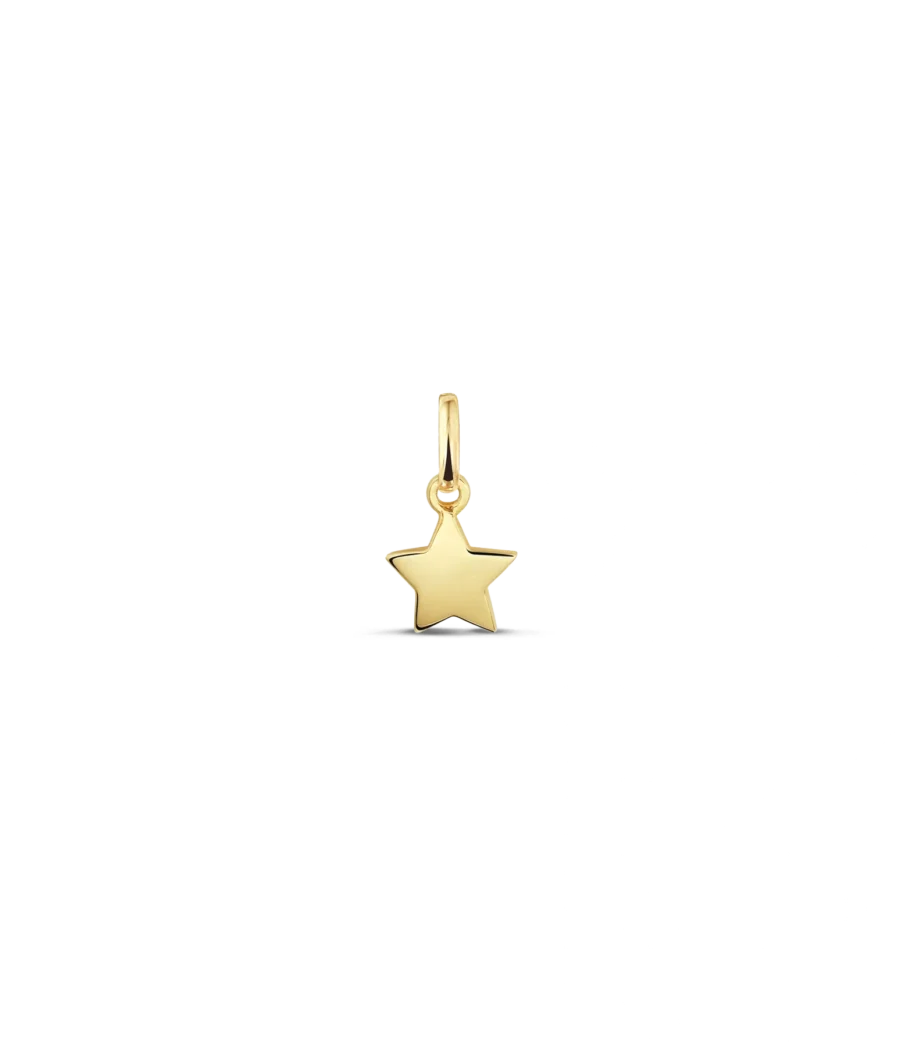 14 Karat Stern Anhänger 1973