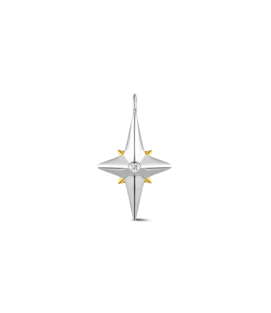 Colgante estrella 2181