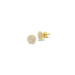 Ohrstecker 2267