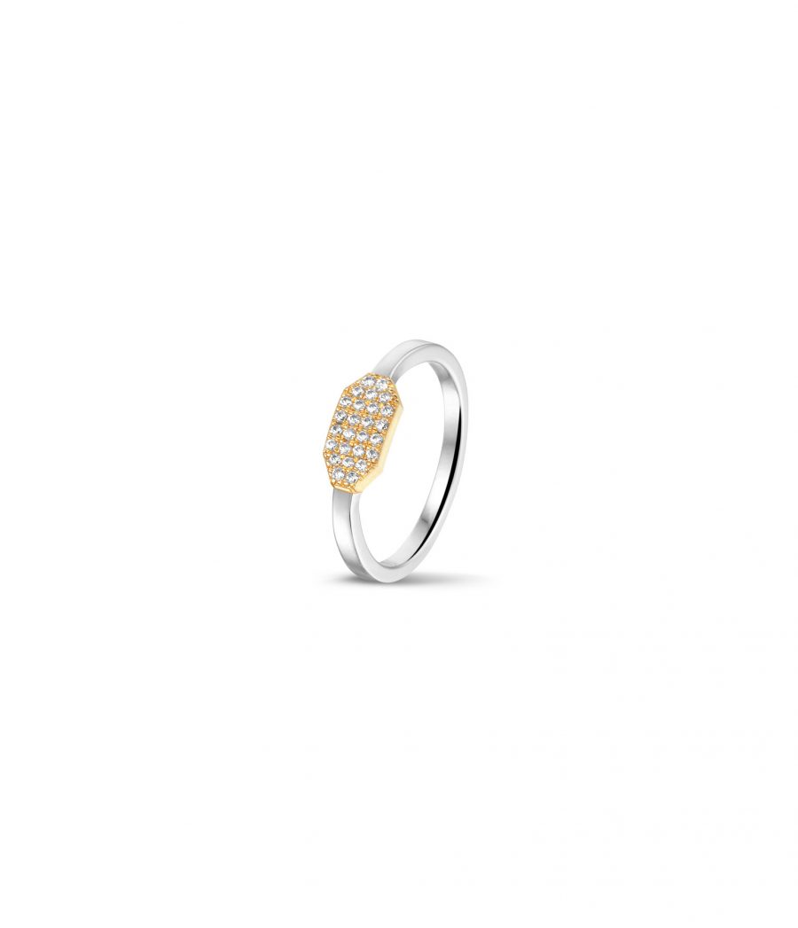 Ring 2202