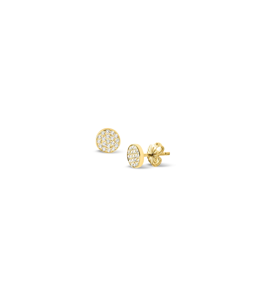 Ohrstecker 1558