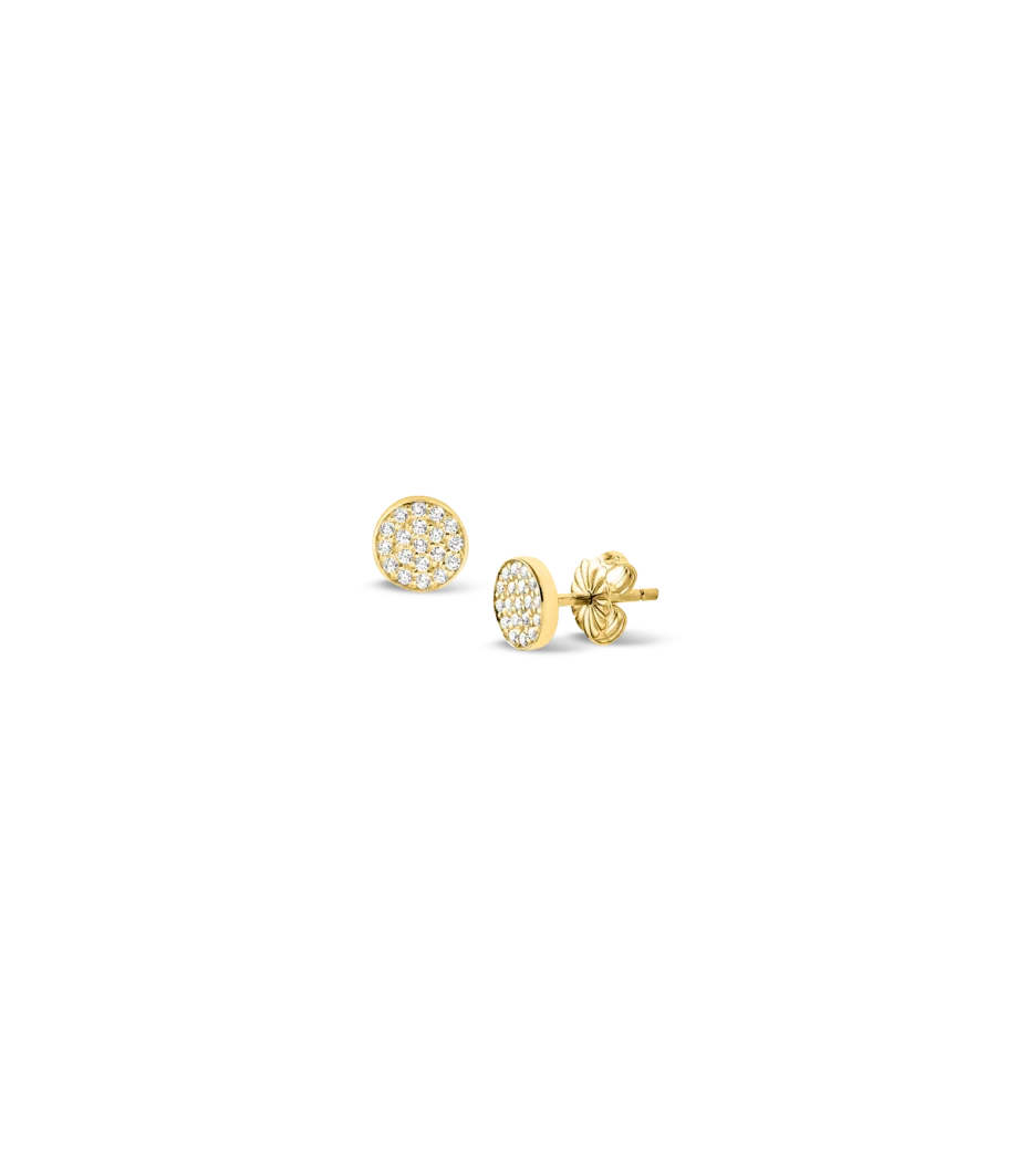 Ohrstecker 1558