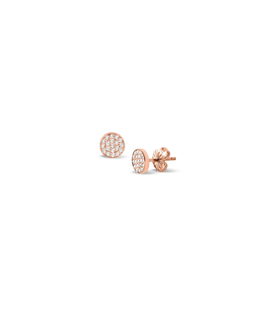 Ohrstecker 1558