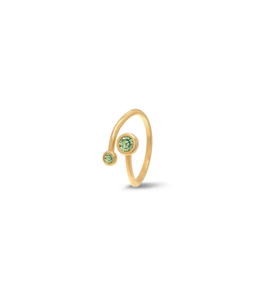 Ring mit zwei Steinen offen